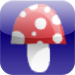 Mushrooms